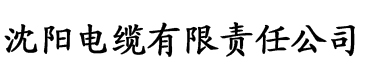 在线视频这里只有精品电缆厂logo